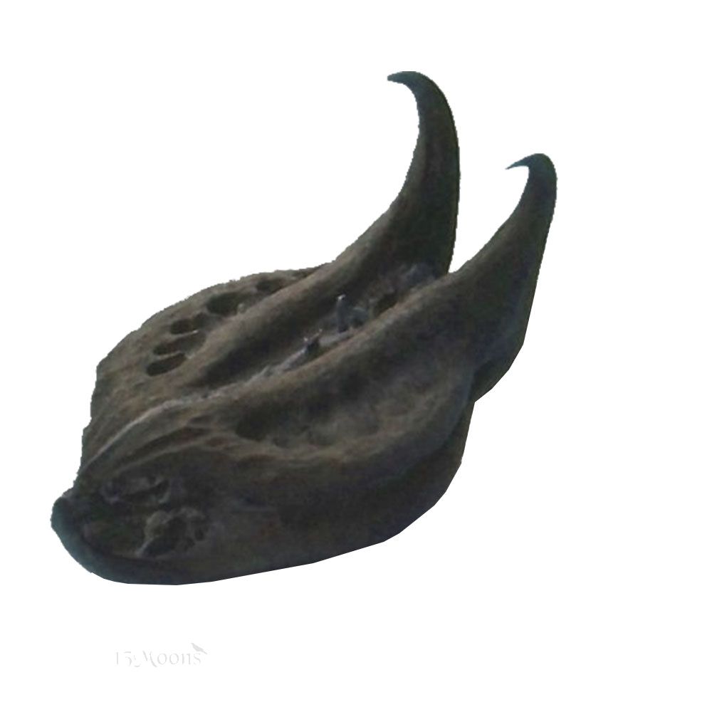 BATS HEAD ROOT New England Magick