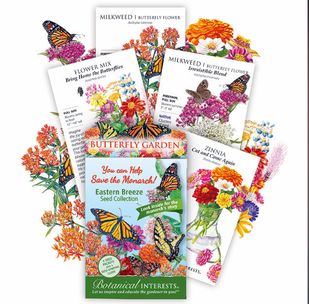 Eastern Breeze Butterfly Collection