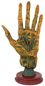 HAND OF GLORY/ALCHEMIST PALMISTRY HAND