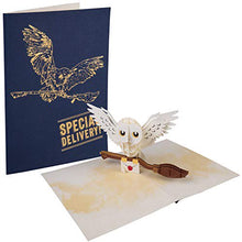 Load image into Gallery viewer, Harry Potter Pop-Up Greeting Card : HEDWIG