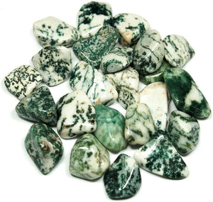 Tree Agate