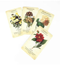 Load image into Gallery viewer, Botanical Inspirations Deck &amp; Book Set