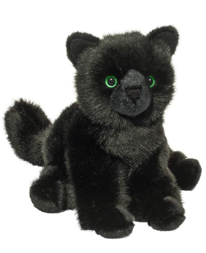 Salem Black Cat:
